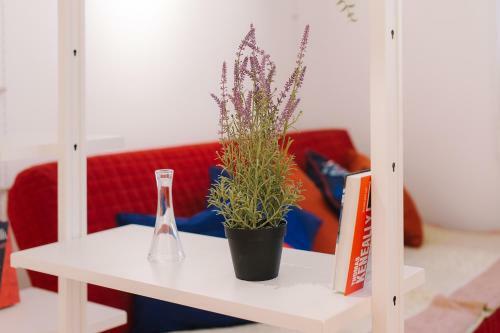Apartamento ??????????? ??????