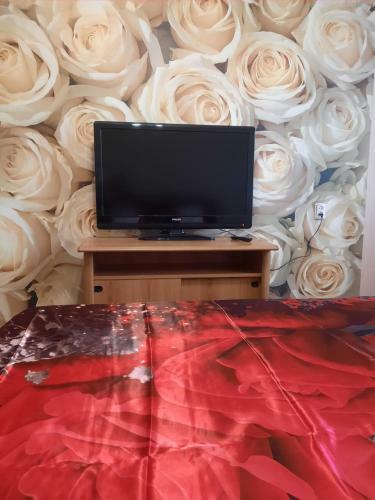 Apartamento ????????????? ????????