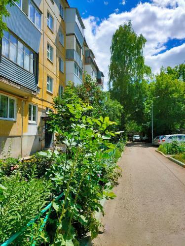 Mango Apartments (white)