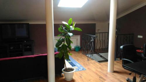 Apartamento Casa Da Lucia