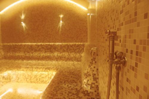 Hotel Saint Lake (? ??????? ?????)