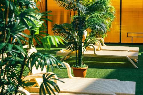 Hotel Saint Lake (? ??????? ?????)