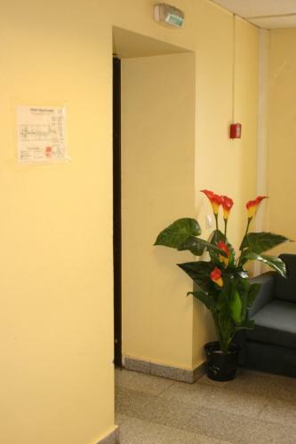 Albergue Hotelhot Sheremetyevo