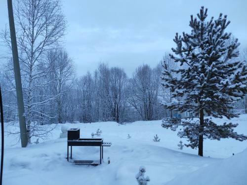 Posada ?????? ???????