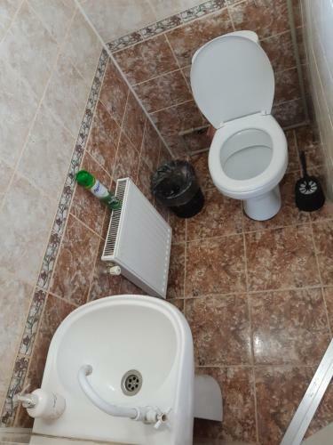 Albergue ?????? ????????