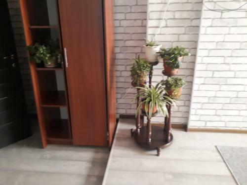 Hostal Glitsiniya Guest House