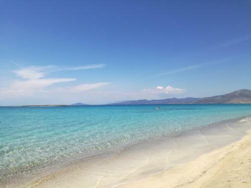 Hostal Pallas Pension