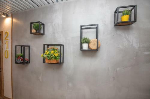 Lemon Loft Hotel