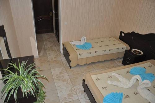 Hotel ????? ???????