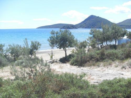 Hostal Hotel Pavlos & Studios