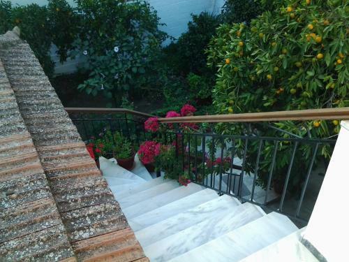 Apartamento Studios Maro