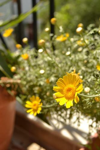 Hostal Natura