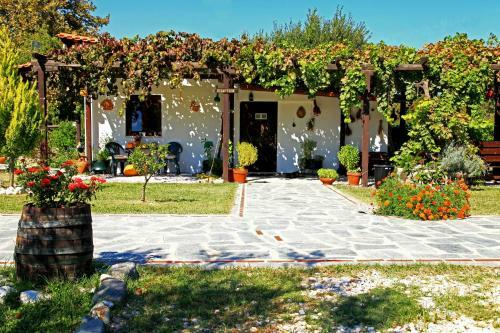 Dionysus Apartments