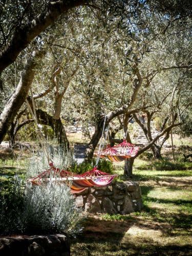 Dionysus Apartments