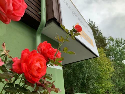 Skogsvikens Hotell