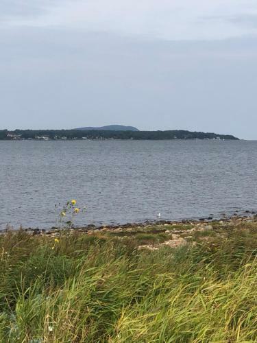 Trenneg�rden B&B Och Butik