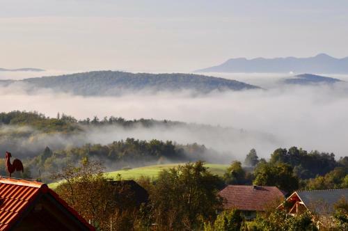 Hostal Guest House Doma?ija Krnc