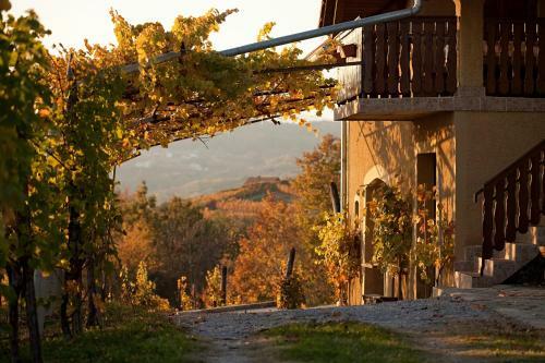 Vineyard Cottage Brodaric