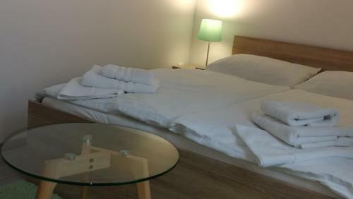 Albergue Kamrica Mariborcity
