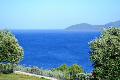 Apartamento Verde E Mare