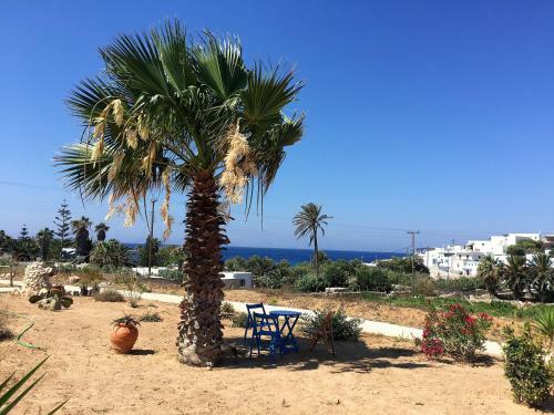 Apartamento Firoa Studios