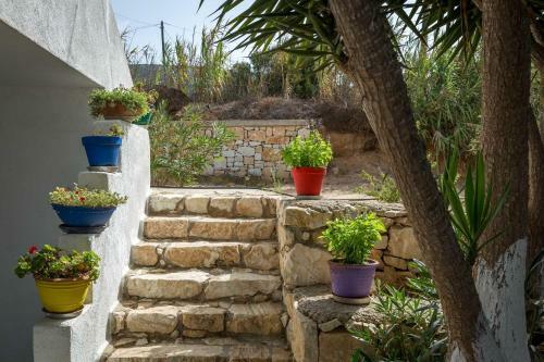 Apartamento Firoa Studios