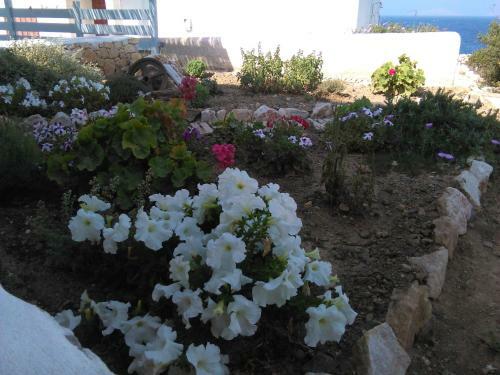 Apartamento Makares