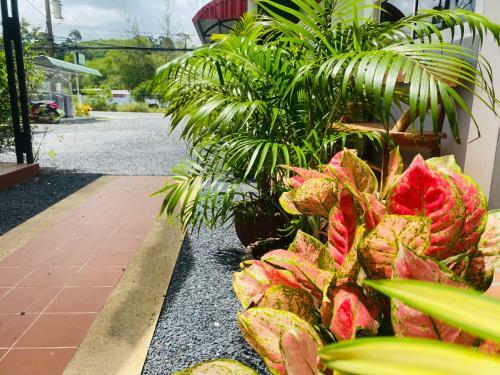 Hotel Suntalee Express