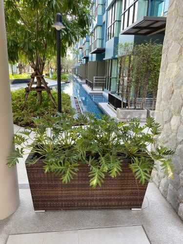 Apartamento Lumpini Park Beach#2 Cha-am By Greenview