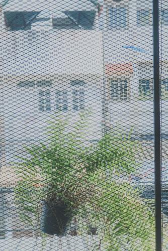 Chill Vibe Hostel