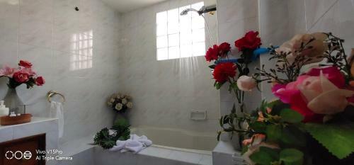 Asiastique Housing Home Studio