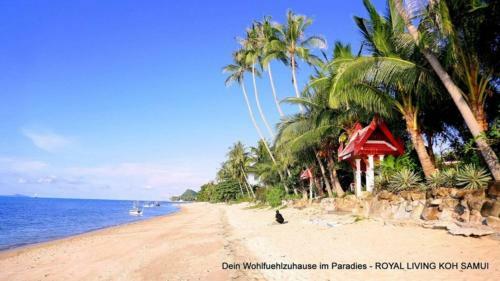Royal Living Koh Samui - Service Minded Apartment 7