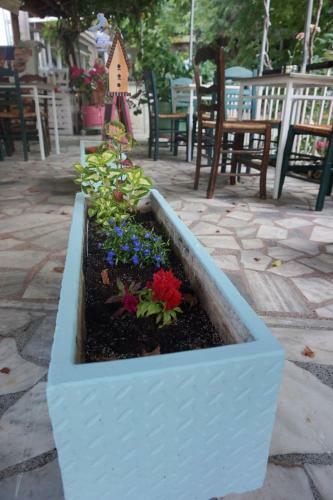 Hostal Galini