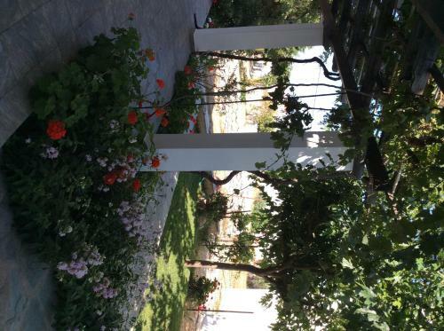 Bed & Breakfast Eleana Studios