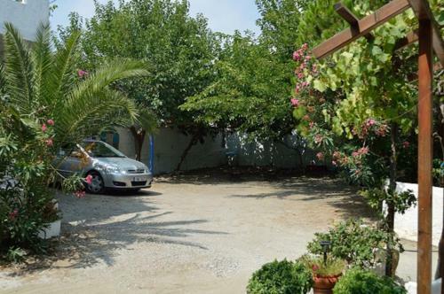 Apartamento Skyros Junior Studios