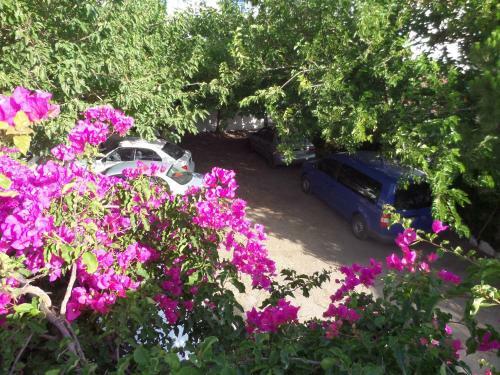 Apartamento Skyros Junior Studios