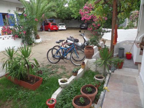 Apartamento Skyros Junior Studios