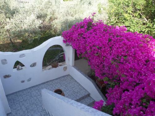 Apartamento Skyros Junior Studios