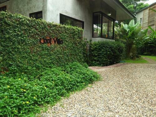 Hotel Cooldowns Resort