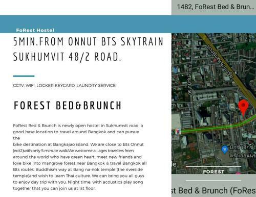 Forest Bed&brunch