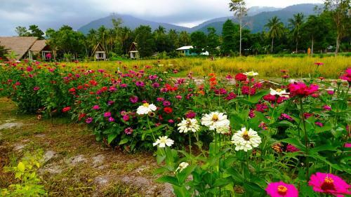 Apartamento Farmsaijai Kohphangan