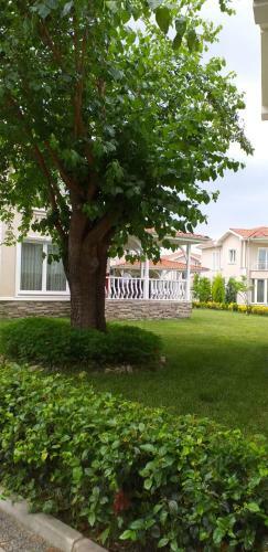 Villa Palace Kirkpinar