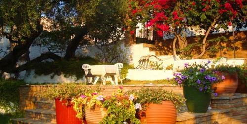 Hostal Pension Gerania