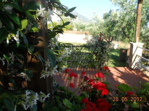 Apartamento Delfinia