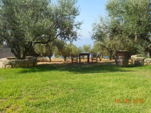 Apartamento Delfinia