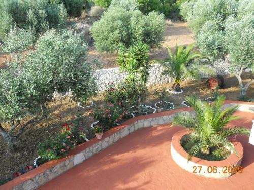 Apartamento Delfinia