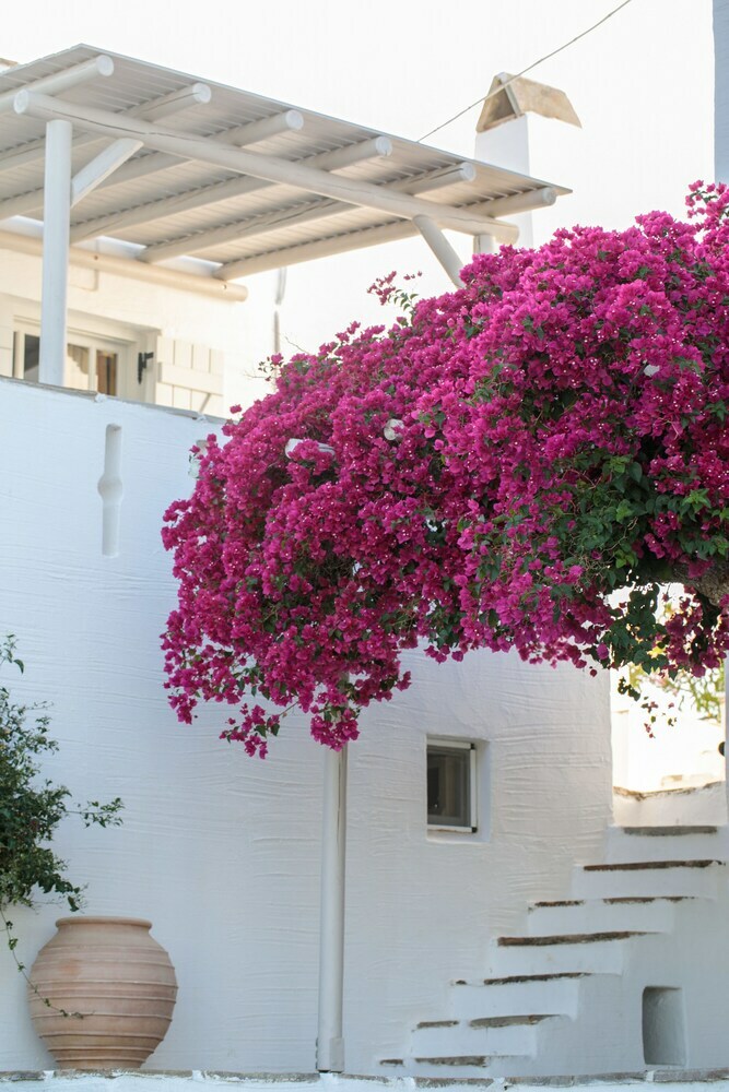 Apartamento Ostria Inn
