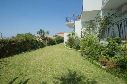 Apartamentos Summer Dream