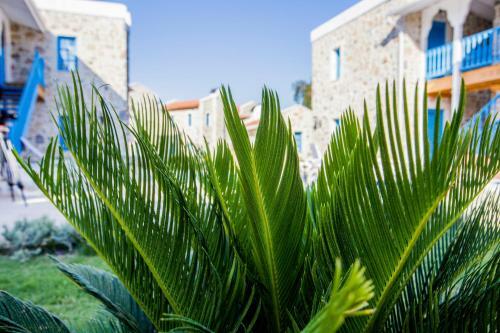 Bed & Breakfast La Petra Eski Datca