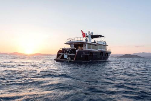 Ada Dreams / Boat